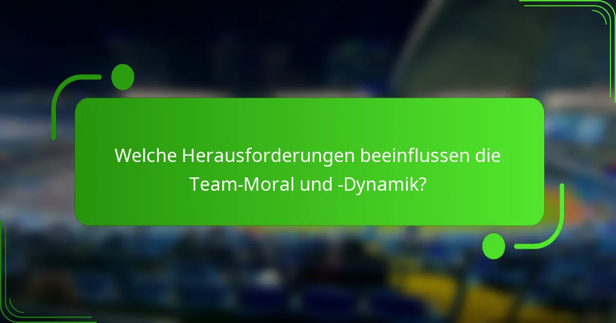 Welche Herausforderungen beeinflussen die Team-Moral und -Dynamik?