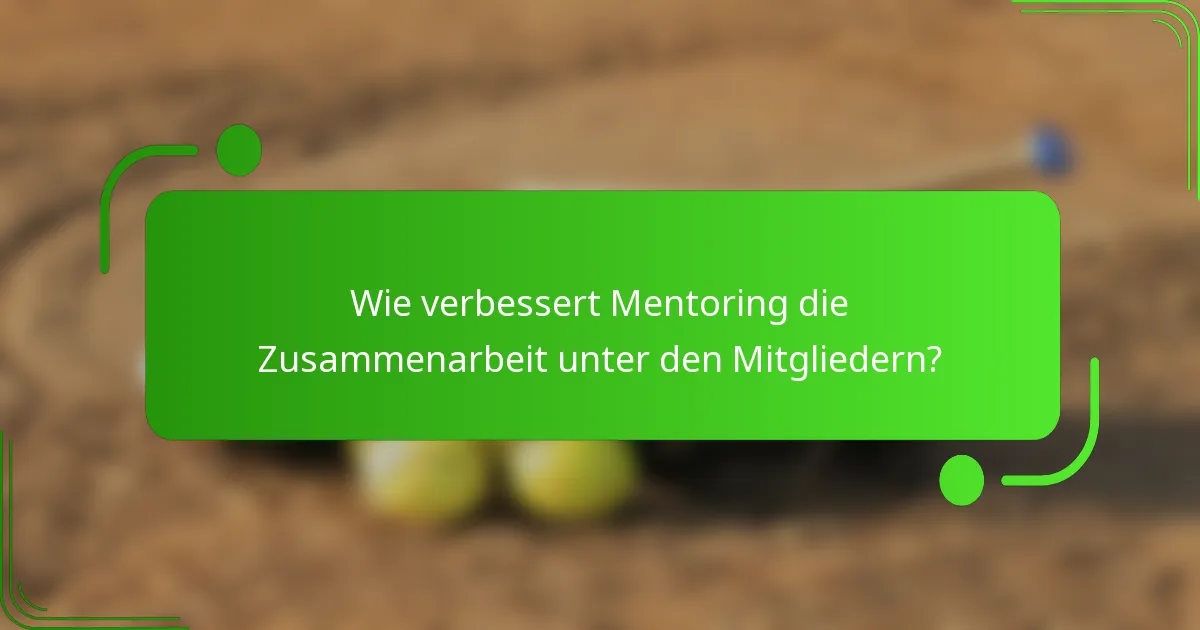 Wie verbessert Mentoring die Zusammenarbeit unter den Mitgliedern?